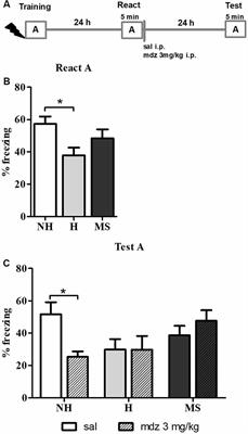 Resilience and Vulnerability to Trauma: Early Life Interventions Modulate Aversive Memory Reconsolidation in the Dorsal Hippocampus